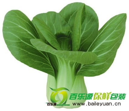 新鮮油菜買回家怎么保鮮？