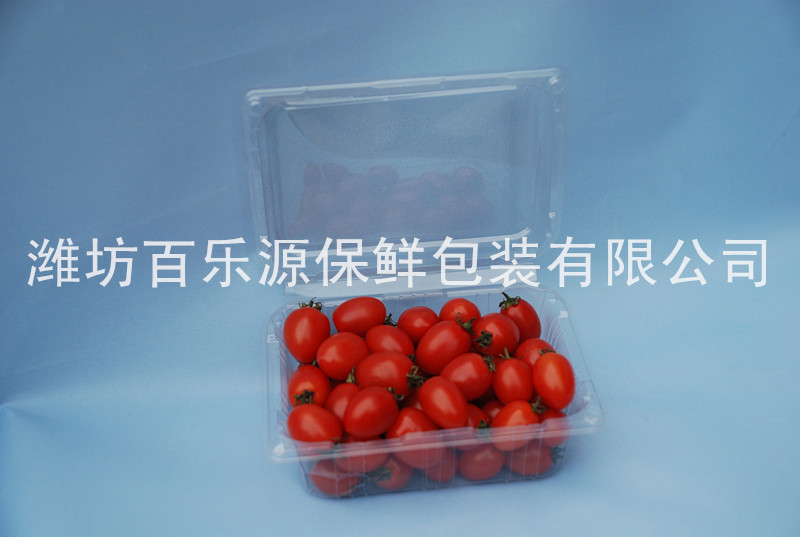 圣女果專(zhuān)用物理活性保鮮盒