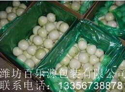 百樂(lè)源洋蔥的采收和儲(chǔ)藏技術(shù)指導(dǎo)