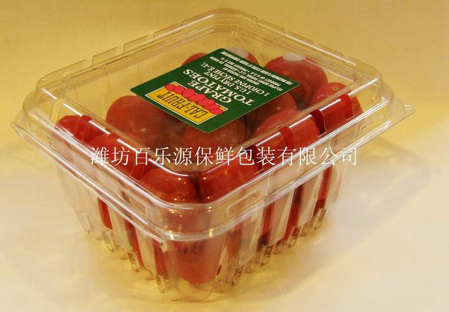 保鮮盒百樂源